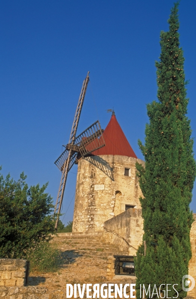 Huile d olive de la vallée des Baux