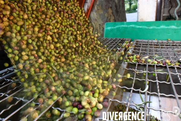 Huile d olive de la vallée des Baux