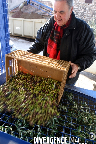 Huile d olive de la vallée des Baux