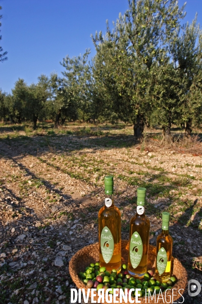 Huile d olive de la vallée des Baux