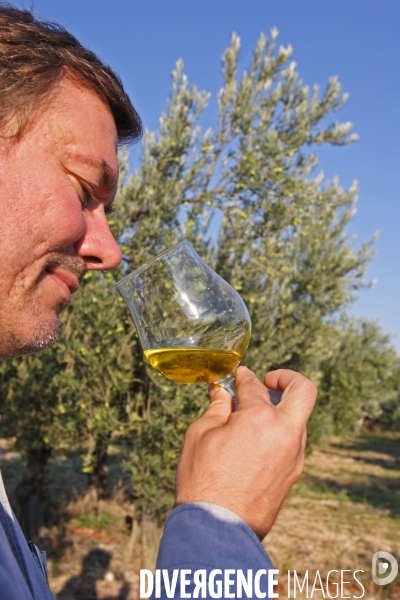 Huile d olive de la vallée des Baux