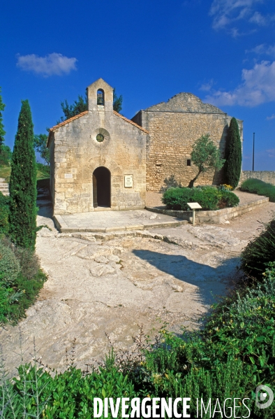 Huile d olive de la vallée des Baux