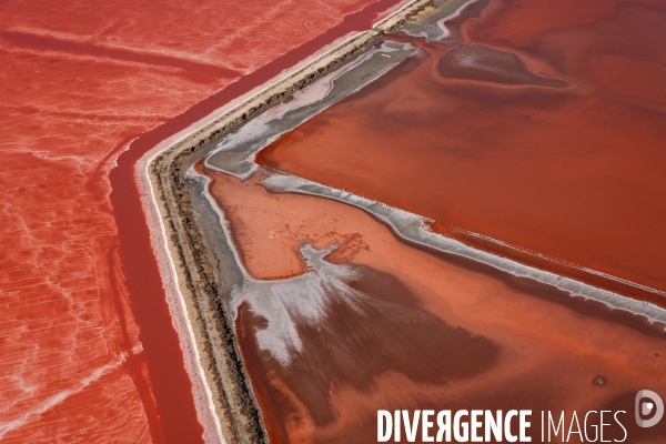 Vue aérienne de Camargue
