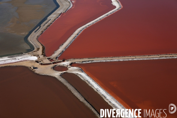 Vue aérienne de Camargue