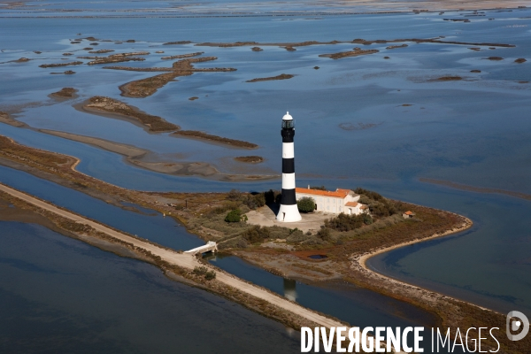 Vue aérienne de Camargue