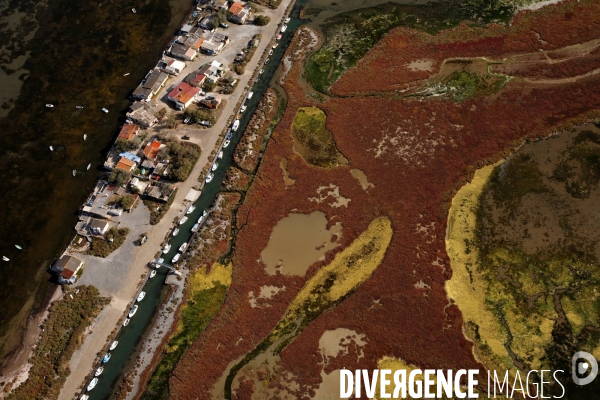 Vue aérienne de Camargue