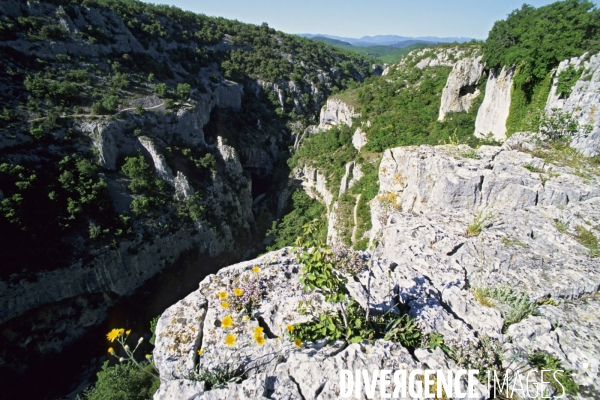 Haute Provence - Au pays de Giono