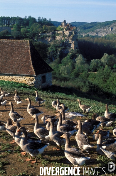LOT - Les villages du vertige
