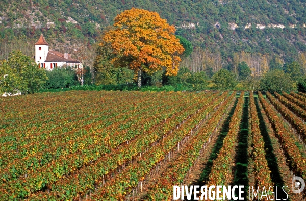 LOT - Les villages du vertige