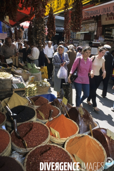 Istanbul, la vie de Pacha