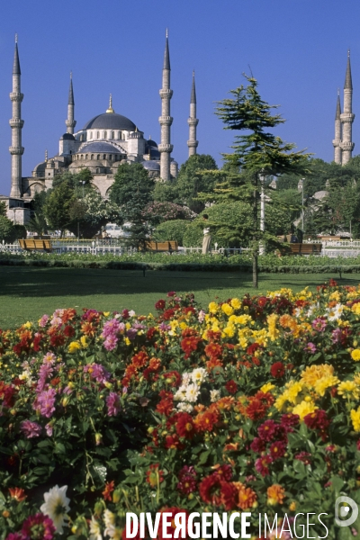 Istanbul, la vie de Pacha