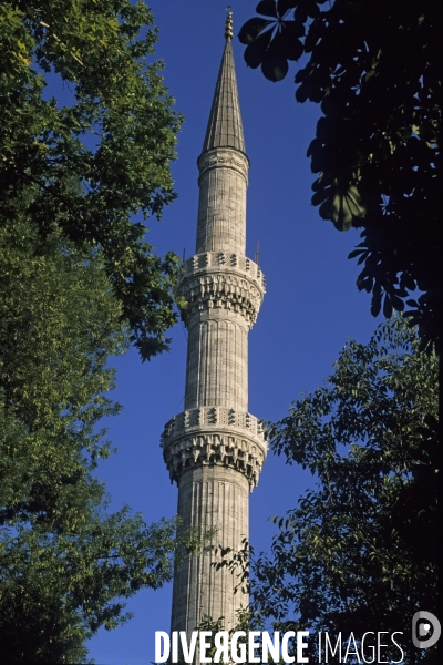 Istanbul, la vie de Pacha