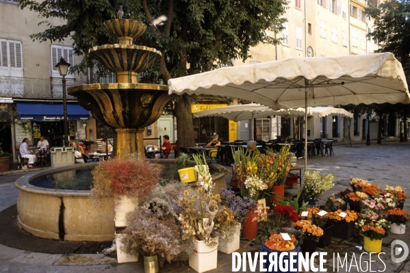 Grasse , capitale des fragrances