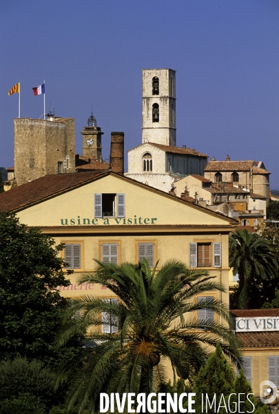 Grasse , capitale des fragrances