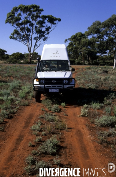 Australie de l Ouest : la ruée vers l or