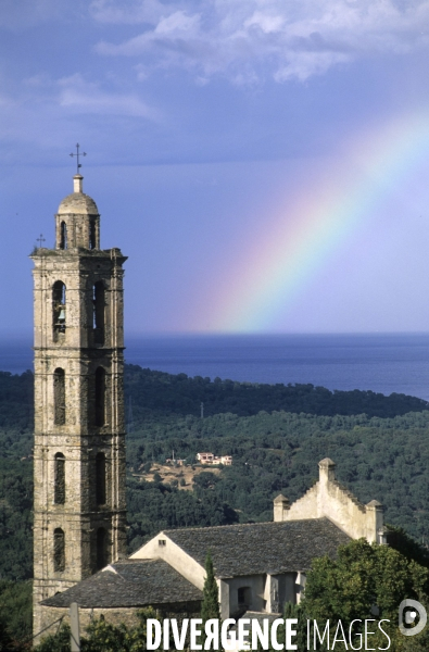 La route de la châtaigne en Corse