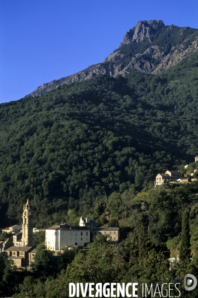 La route de la châtaigne en Corse