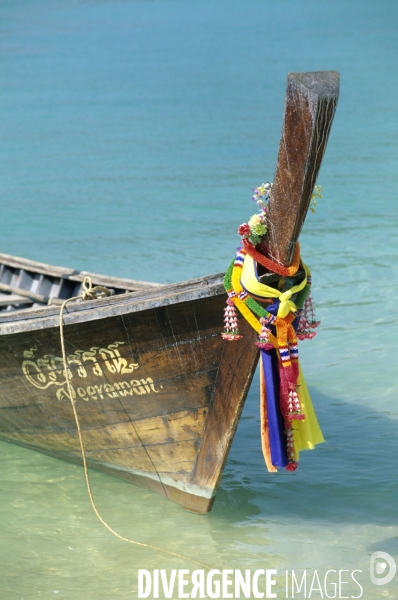 Robinson des mers du Sud