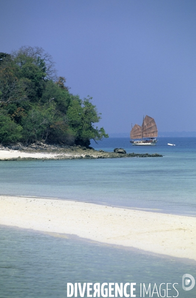 Robinson des mers du Sud