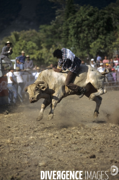 Les french cow-boys du Pacifique