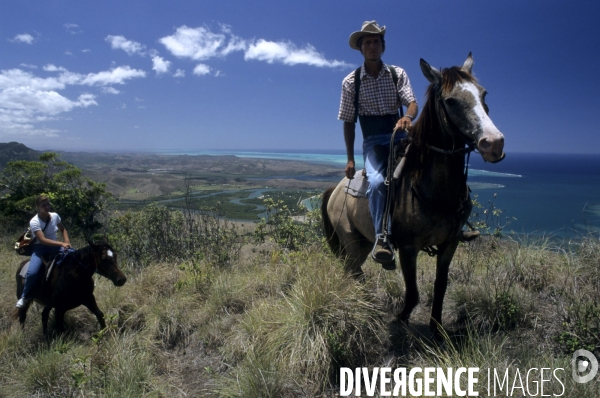 Les french cow-boys du Pacifique