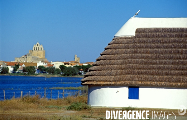 Camargue, le delta farouche