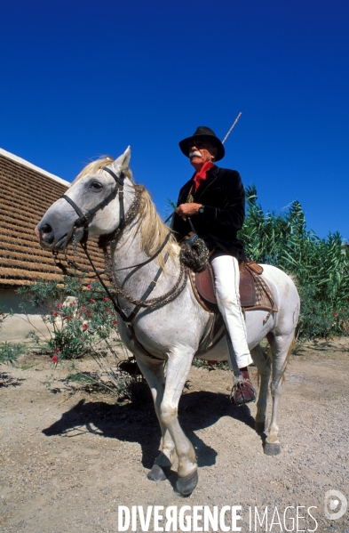 Camargue, le delta farouche