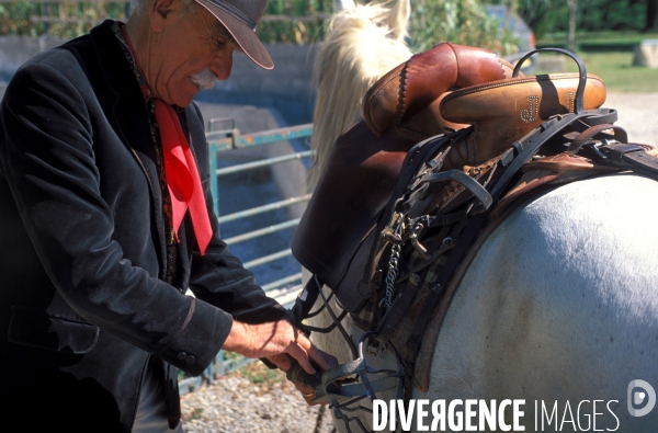 Camargue, le delta farouche