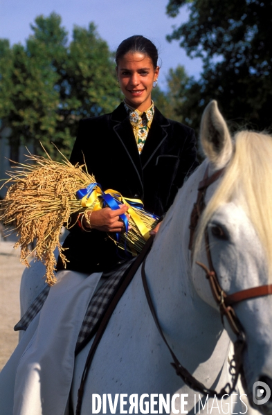 Camargue, le delta farouche