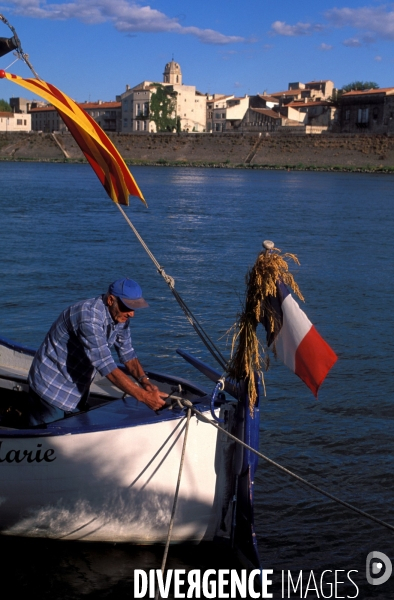 Camargue, le delta farouche