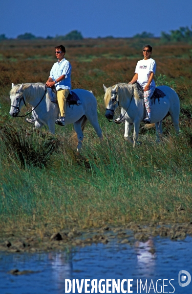 Camargue, le delta farouche