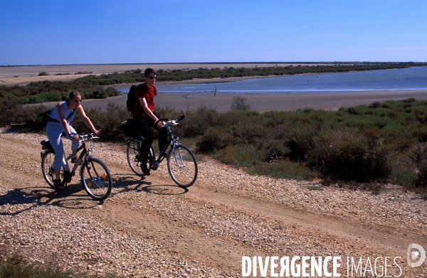 Camargue, le delta farouche