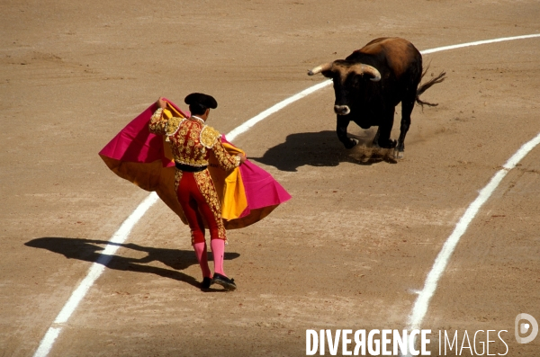 Camargue , le delta farouche