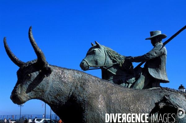 Camargue , le delta farouche