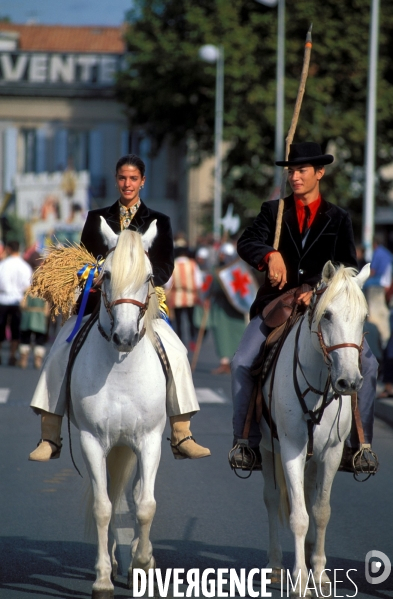 Camargue , le delta farouche