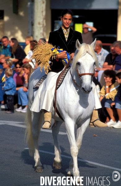 Camargue , le delta farouche