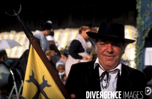 Camargue , le delta farouche