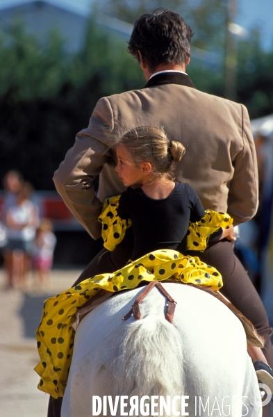 Camargue , le delta farouche