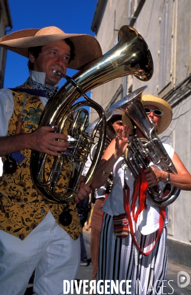 Camargue , le delta farouche