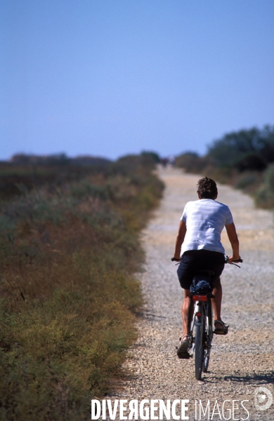 Camargue , le delta farouche