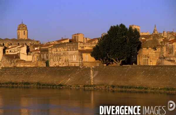 Camargue , le delta farouche