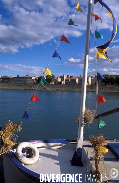 Camargue , le delta farouche