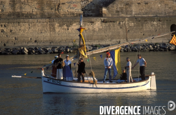 Camargue , le delta farouche