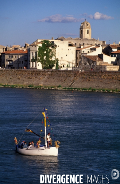 Camargue , le delta farouche