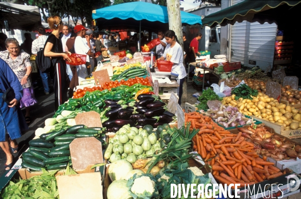 Camargue , le delta farouche