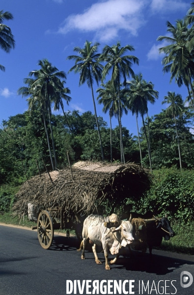 Sri Lanka , au fil des hotels coloniaux