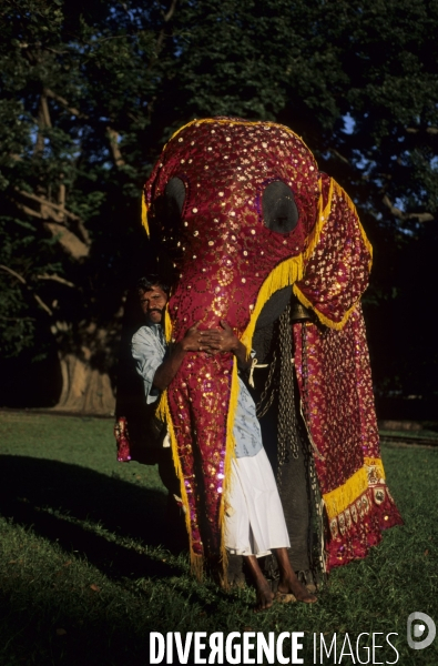 Sri Lanka , au fil des hotels coloniaux