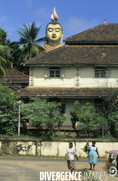 Sri Lanka , au fil des hotels coloniaux
