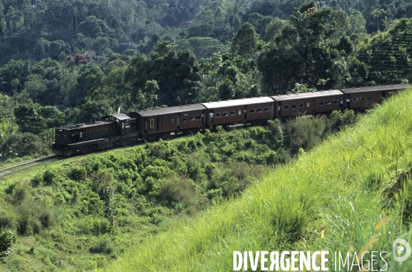 Sri Lanka , au fil des hotels coloniaux