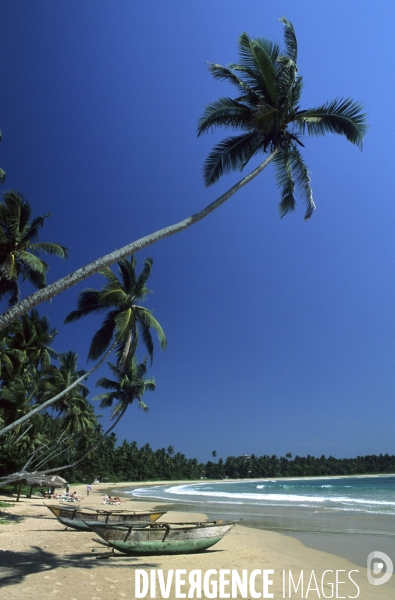 Sri Lanka , au fil des hotels coloniaux